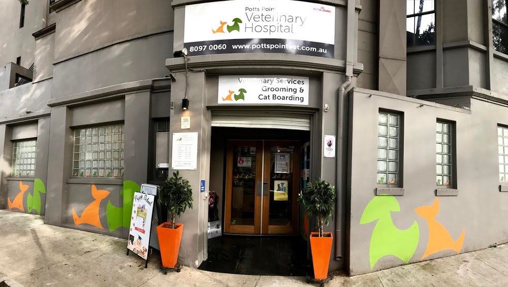 Potts Point Veterinary Hospital